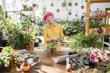Bir kadın, yemyeşil ve çiçeklerle çevrili, parlak, havadar bir serada bitki yetiştirme eğilimindedir.