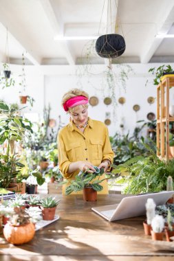 Bir kadın, yemyeşil çiçeklerle çevrili, parlak, havadar bir fabrikada çiçekçiyle ilgilenir.