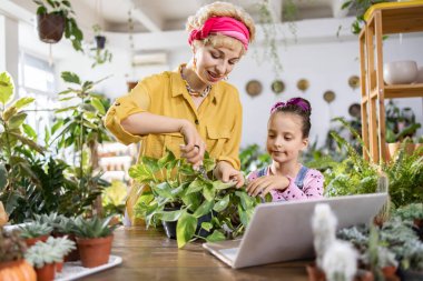 Bir kadın ve genç bir kız birlikte bitkileri ve bahçeleri öğreniyorlar, bilgi için bir dizüstü bilgisayar kullanıyorlar.