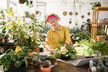 Gülümseyen bir kadın bitkilerini parlak ve havadar bir serada sakince yerleştirir ve sakin bir atmosfer yaratır.