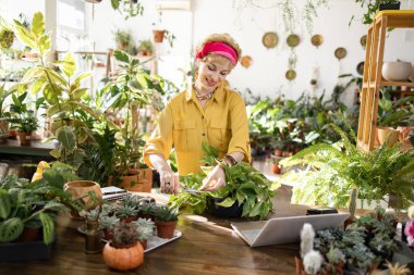 Sarı tişörtlü ve pembe başörtülü bir kadın parlak, serada bitki yetiştirme eğilimindedir.