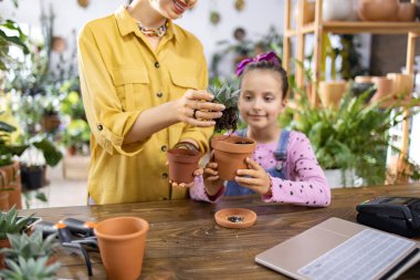 Bir kadın ve genç bir kız sulu bir bitkiyi yeniden saksılıyorlar, eğlenceli bir aktivitenin tadını çıkarıyorlar.