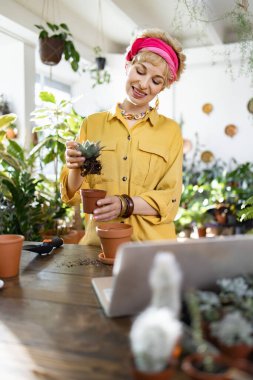 A woman in a yellow shirt is transplanting a succulent into a new pot, with a laptop in front of her