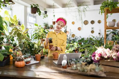 A woman is seen repotting a succulent plant while using a laptop in a bright greenhouse setting