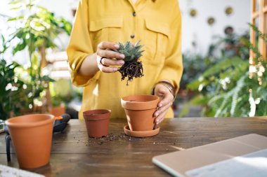 Bir insana küçük sulu bir bitkiyi diğer bitkilerle çevrili daha büyük bir kaba naklederken gösteriliyor.