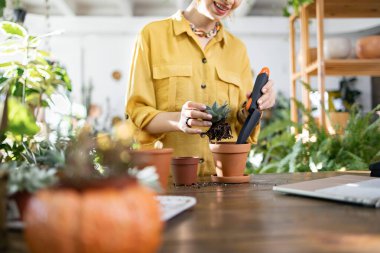 Bir kadın, diğer bitkilerle çevrili yeni bir tencereye dikkatlice bir lezzet naklederken gülümsüyor.