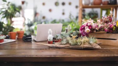 Çalışma alanı doğal ışıkla dolu ve çeşitli bitki ve çiçeklerle dolu, rahatlatıcı bir atmosfer yaratıyor.