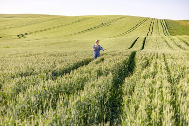Tulum ve şapka giyen yalnız bir çiftçi uçsuz bucaksız bir bucaksız buğday tarlasında elinde bir tablet tutarak el kol hareketi yapıyor.