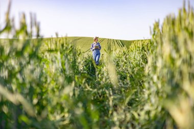 Tulumlu ve şapkalı bir kadın elinde tabletle yemyeşil buğday tarlasında yürüyor, açık mavi gökyüzünün altındaki mahsulleri inceliyor.