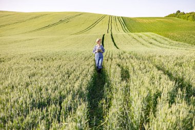 Tulumlu ve hasır şapkalı bir kadın elinde tablet bilgisayarla uçsuz bucaksız bir buğday tarlasında yürüyor.