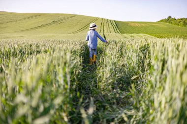 Hasır şapkalı ve sarı çizmeli bir çocuk güneşli bir günde yemyeşil bir buğday tarlasında yürüyor.