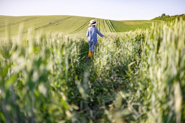 Hasır şapkalı ve sarı çizmeli bir çocuk güneşli bir günde yemyeşil bir buğday tarlasında yürüyor.