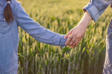 Güneşli bir buğday tarlasında yürürken el ele tutuşan bir ebeveyn ve çocuk gibi iki kişinin yakın çekimi.