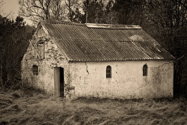 Gammal lada i skogen — Stockfoto