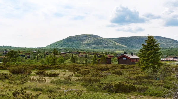 Maisons Vacances Montagne Norvégienne — Photo