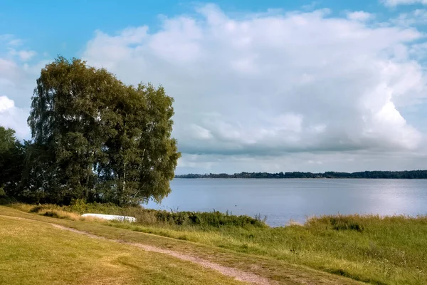 Árboles Costa Sallingsund Fotografía Tomada Desde Isla Mors Dinamarca —  Fotos de Stock