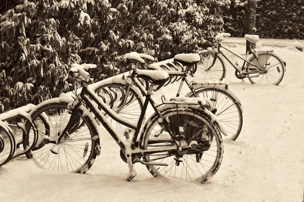 Fietsen in de sneeuw — Stockfoto