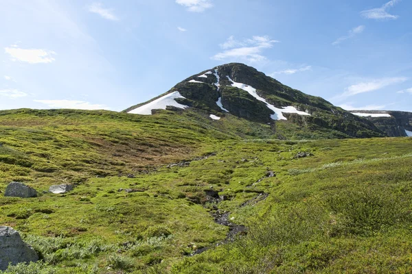 Zomer in de bergen — Stockfoto