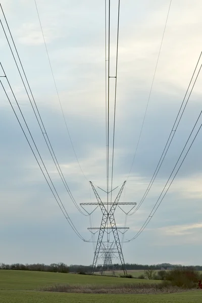 เสาไฟฟ้าในสนาม — ภาพถ่ายสต็อก