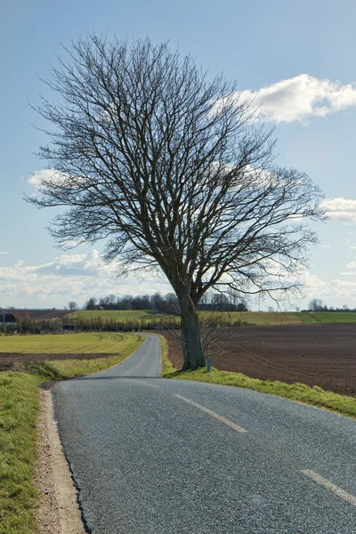 Ülke Yolu — Stok fotoğraf