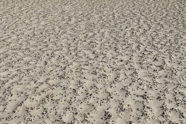 Βότσαλα στην άμμο — Φωτογραφία Αρχείου