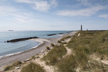 Kıyı şeridi, dalgakıranlar