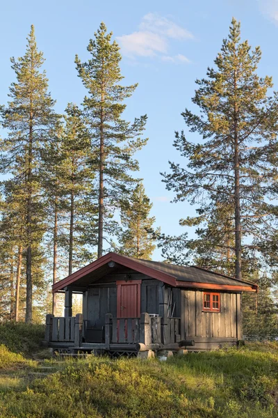 Shack i skogen — Stockfoto