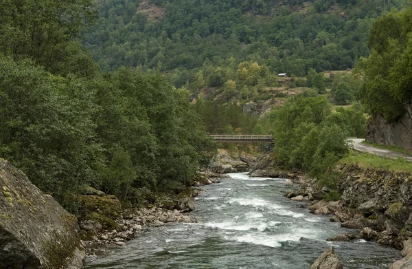 Rivier in de bergen — Stockfoto