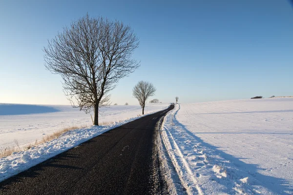 Petite route de campagne — Photo