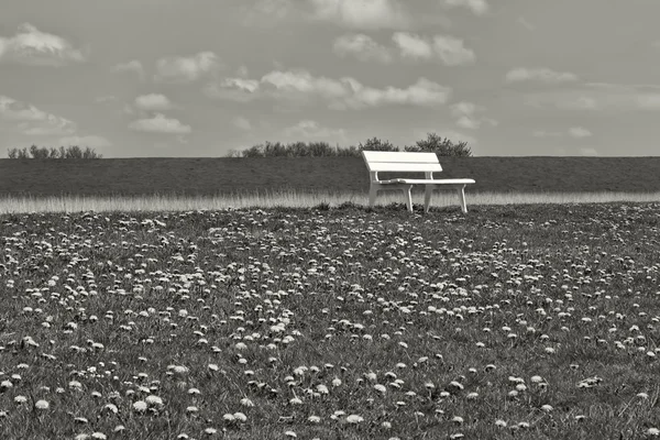 Bench in the Field — Stock Photo, Image