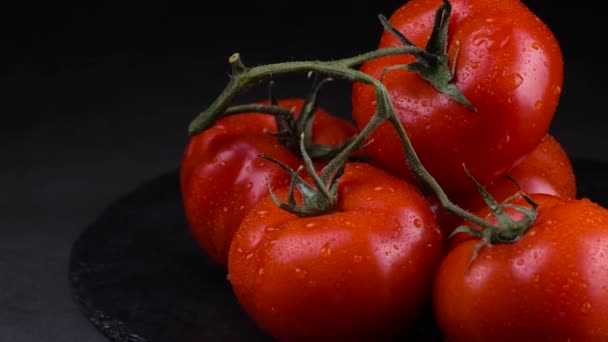 Kamera Flytta Till Gren Röda Tomater Slow Motion Vårens Grönsaksland — Stockvideo
