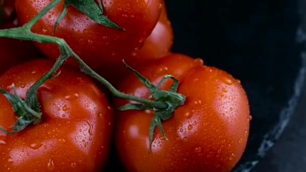 Kamera Przesuwa Się Gałązki Czerwonych Pomidorów Zwolnionym Tempie Wiosenne Warzywa — Wideo stockowe