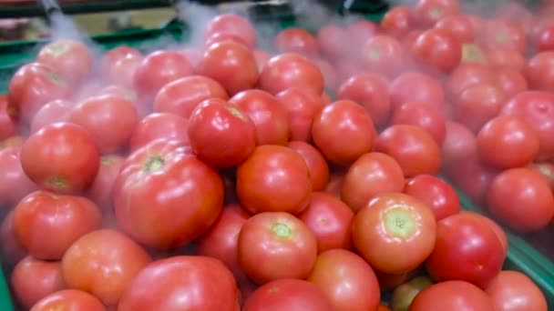 Rote Tomaten Stand Reformhaus Mit Wassernebel Besprüht — Stockvideo