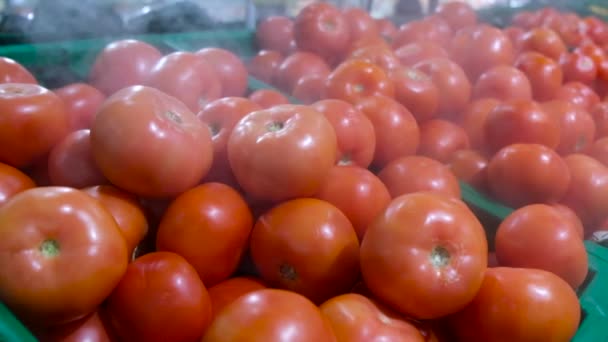 Красные Помидоры Стенде Распылены Водяным Туманом Супермаркете Здоровой Пищи — стоковое видео