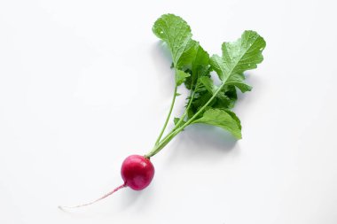 Taze turp hasadı beyazda izole edilmiş. Sağlıklı organik gıda, sebze, tarım. Soyut Doos arkaplanı izole edildi