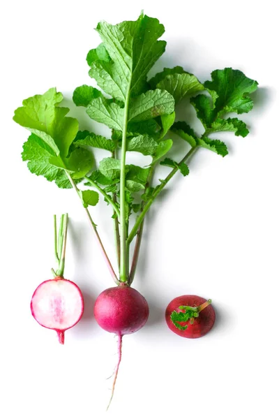 Freshly Radish Harvest Isolated White Healthy Organic Food Vegetables Agriculture — Stock Photo, Image