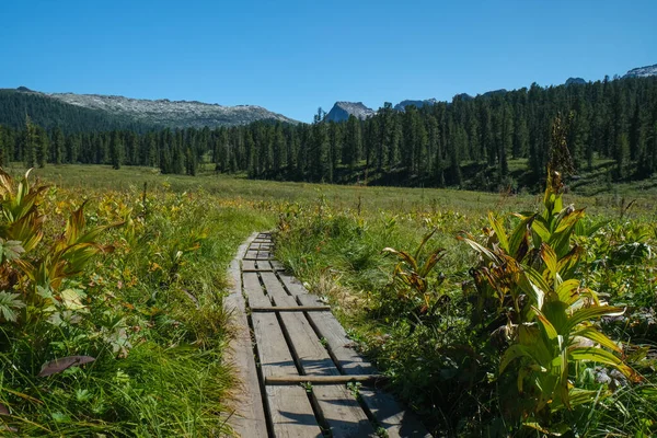 Bergen Zomer Landschap Reisconcept Rotsen Uitzicht Het Meer — Stockfoto