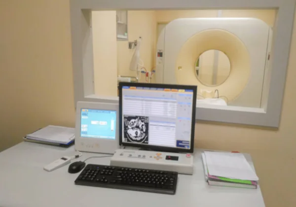 Lens Blurry Image Views Scan Mri Room Office Showing Brain — Stock Photo, Image