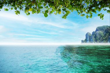 Tayland 'daki Phi phi adasında güzel manzara denizi