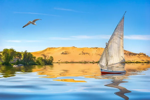 Seagull and sailboat — Stock Photo, Image
