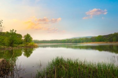 Sakin nehir ve orman Sonbaharda gün doğumunda