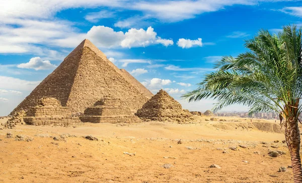 Piramidy i palmy — Zdjęcie stockowe