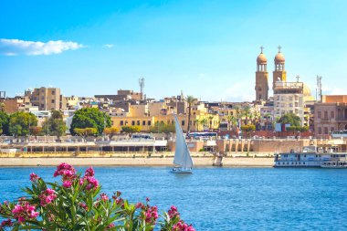 Luxor şehri manzaralı Nil nehrinin yanındaki çiçekler.