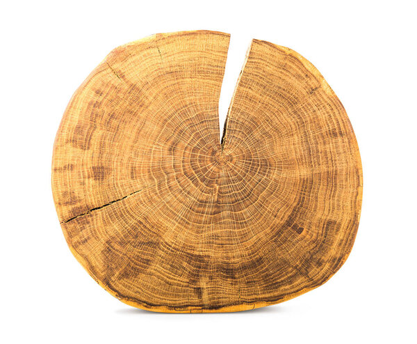 Round slice of log