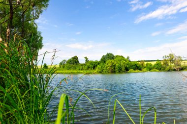Ukrayna ormanları ve tarlaları arasında sakin bir göl.
