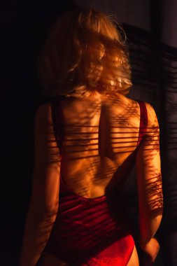 Kırmızı mayo giyen sarışın, sırtında duruyor. Güzel bir kadın duruşu ve hassas bir teni var. Gölgeler, itara telleri gibi arkaya düşer. Sırtı açık mayolu zarif bir manken..