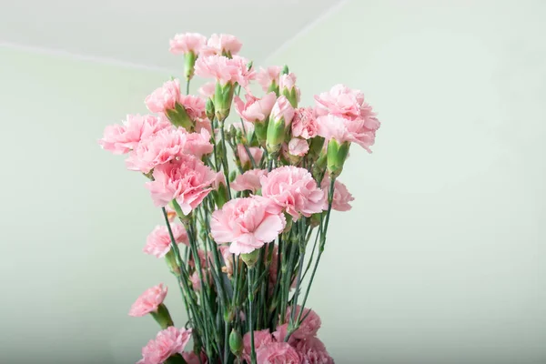 Malá kytice růžových karafiátů na bílém pozadí, kopírovací prostor — Stock fotografie