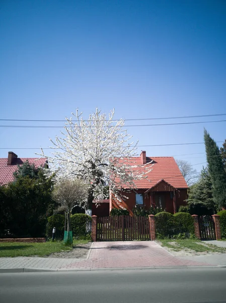 Hermosa Casa Marrón Dos Pisos Junto Los Árboles Con Árbol —  Fotos de Stock