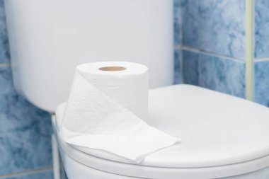 Banyo içi yeni seramik klozetle dolu.,