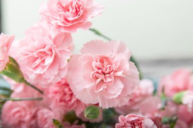 Beyaz arka planda küçük pembe karanfil demeti, kopyalama alanı,